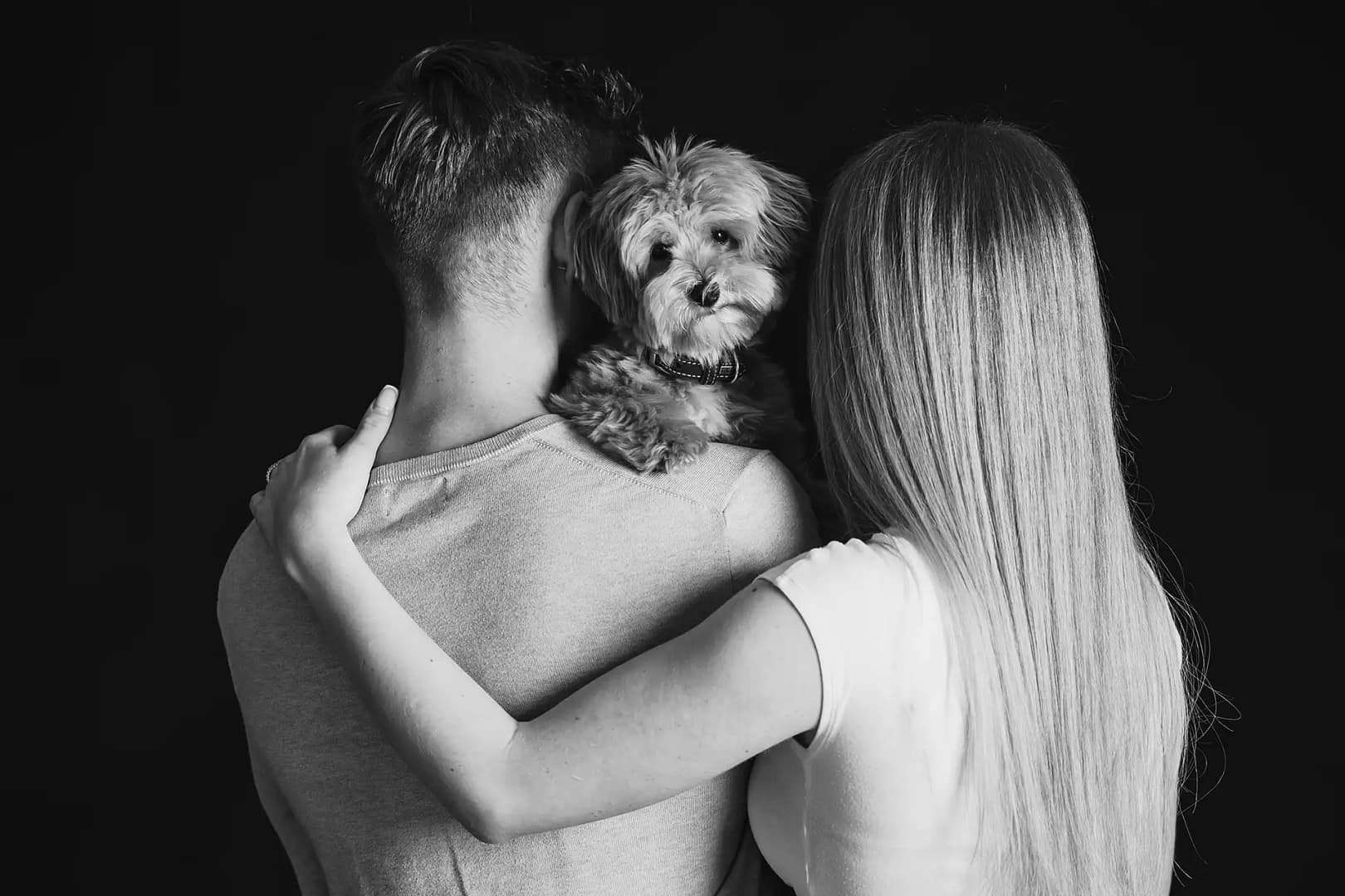 Fotobild mit einem Hund Fotostudio Bielefeld